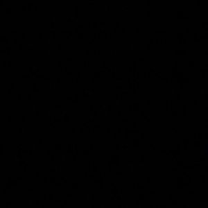 Meet your Posher, Shea